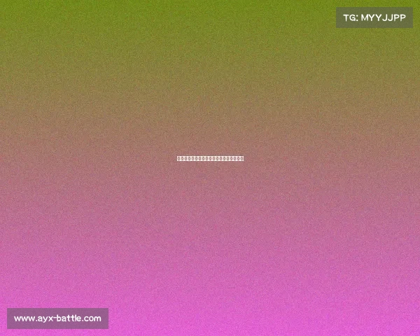 海登海姆表现出色稳定，德甲赛季表现出色